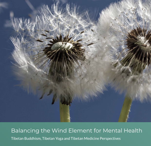 Balancing the Wind Element for Mental Health